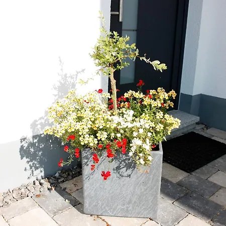 Kuckucksnest Lägenhet *